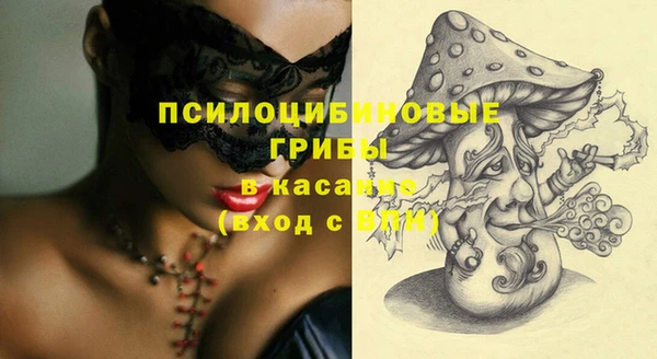 Альфа ПВП Дмитриев