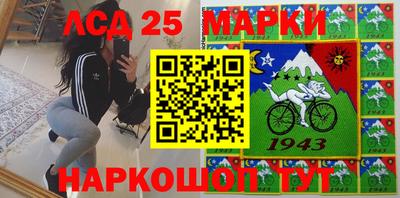 крисы Аргун