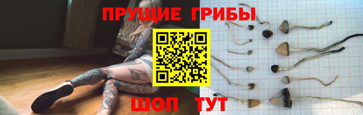 Галлюциногенные грибы прущие грибы  Вход с VPN  Нурлат 